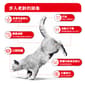 Royal Canin Royal Canin 貓糧 法國皇家貓糧 FHN 老齡貓11+ 營養配方 2kg 2kg  正面圖
