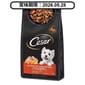 Cesar西莎 Cesar西莎 狗糧 精緻乾糧系列 經典火雞與鮮脆蔬菜口味 1kg 1kg  正面圖