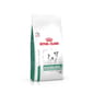 Royal Canin 處方糧 Royal Canin 處方糧 法國皇家狗糧 小型犬糖尿病控糖處方 1.5kg (4237900)