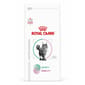Royal Canin 處方糧 Royal Canin 處方糧 法國皇家貓糧 成貓飽足感+關節處方 1.5kg (4110600)