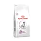 Royal Canin 處方糧 Royal Canin 處方糧 法國皇家狗糧 成犬腎臟+關節處方 3.5kg (4111000)