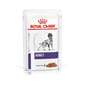 Royal Canin 處方糧 法國皇家 狗濕糧 ADULT 成犬營養配方(肉汁) 100g (3100200) 狗糧 Royal Canin 處方糧 寵物用品速遞
