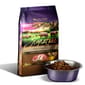Zignature Zignature 狗糧 全犬種無穀物 豚肉配方 25lb 25lb  正面圖