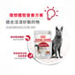 Royal Canin Royal Canin 法國皇家 貓濕糧 成貓理想體態營養主食濕糧  85g 85g  側面圖