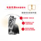 Royal Canin Royal Canin 法國皇家 狗濕糧 約瑟爹利成犬專屬主食濕糧  85g 85g  背面圖