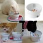 日本猫壱 日本猫壱 necoichi ペット 陶瓷闊圓寵物水碗   DC-0704-SC01  貓犬用 正面圖