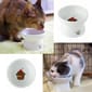 日本猫壱 日本猫壱 necoichi ペット 陶瓷高腳寵物糧食碗   DC-0703-SC01  貓犬用 正面圖