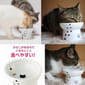 日本猫壱 日本猫壱 necoichi ペット 陶瓷高腳寵物糧食碗 中碼   DC-0703-SC02  貓犬用 正面圖