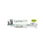 Mervue Lysine 貓用補充劑 Lysine 100 30ml (FP8140) (FP10049) (新舊包裝隨機發貨) 貓咪保健用品 營養膏 保充劑 寵物用品速遞
