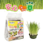 日本Petz 日本Petz Route 100％有機培養土 安心貓草 2回分   正面圖