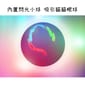 貓咪鈴鐺閃光逗貓球 貓咪鈴鐺閃光逗貓球 楓葉   正面圖