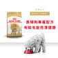Royal Canin Royal Canin 狗糧 法國皇家狗糧 純種系列 貴婦狗成犬專屬配方 貴婦犬糧 PD30 3kg 3kg  正面圖