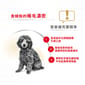 Royal Canin Royal Canin 狗糧 法國皇家狗糧 純種系列 貴婦狗成犬專屬配方 貴婦犬糧 PD30 3kg 3kg  背面圖