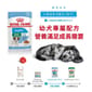 Royal Canin Royal Canin 法國皇家 狗濕糧 小型幼犬營養主食濕糧  85g 85g  正面圖