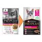 PURINA PURINA PROPLAN 冠能 貓濕糧 成貓敏感配方 醬汁雞肉 85g 85g  正面圖